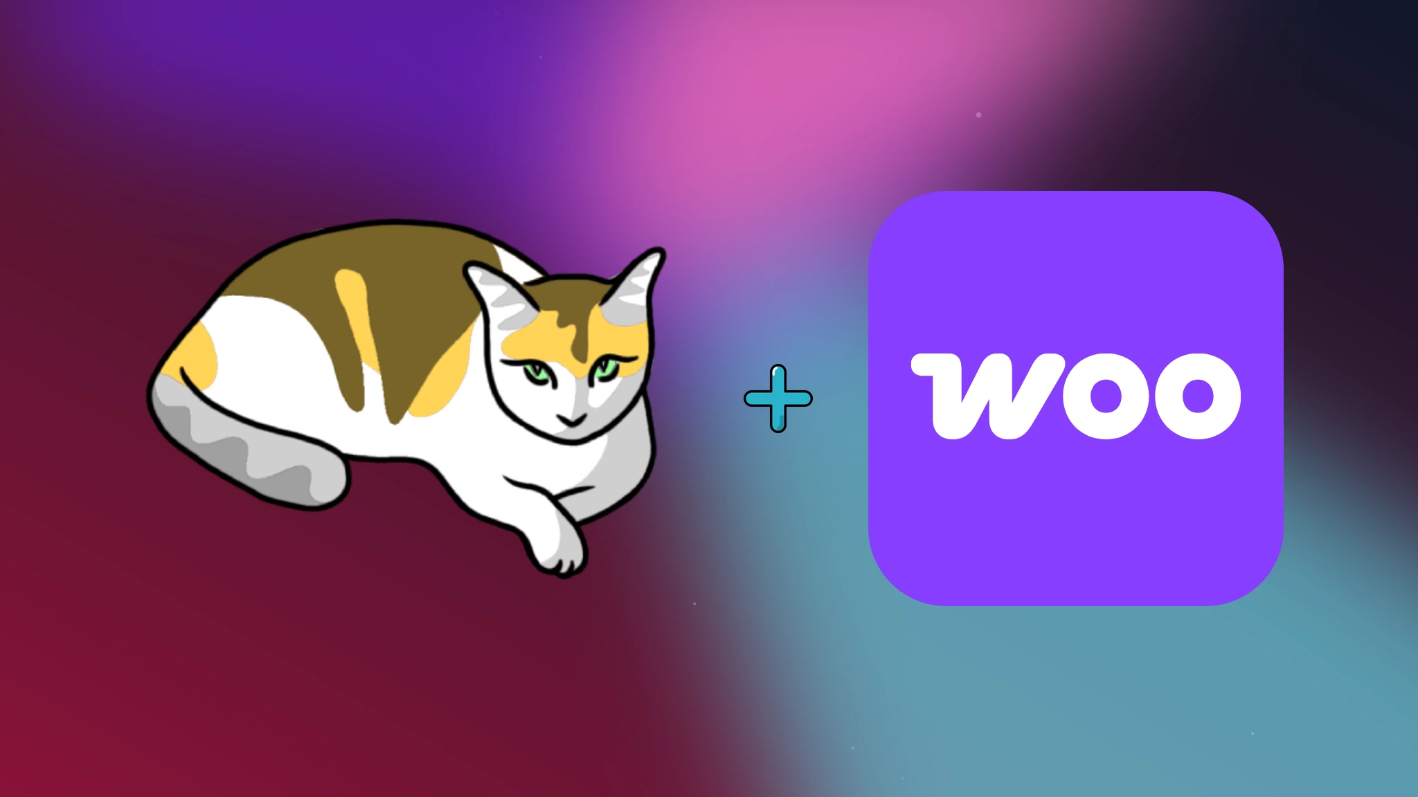 ส่วนขยาย WooCommerce สำหรับ Gato GraphQL